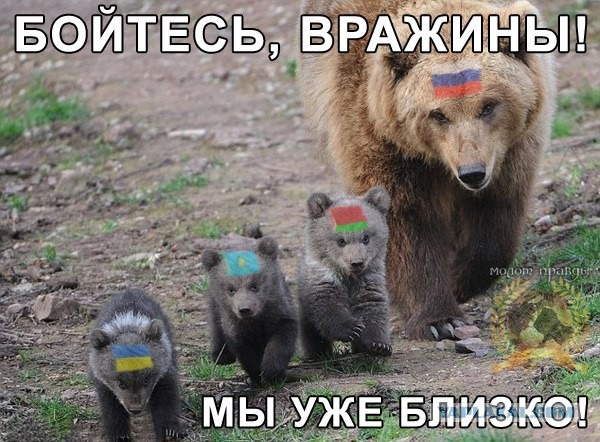 БТРы давят машины с людьми на въезде в город