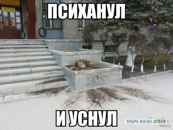 Позитивные картинки