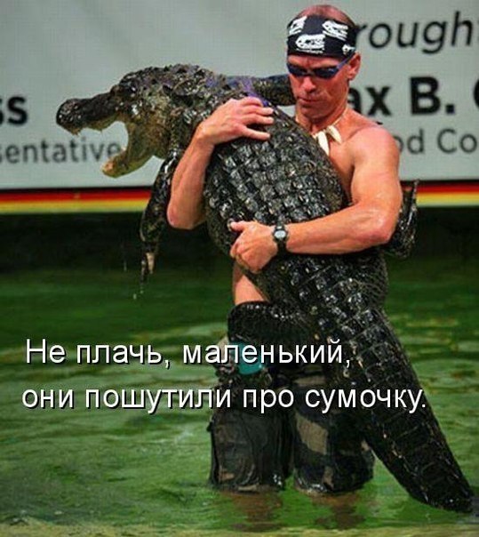 Приколы из социальных сетей №х/з
