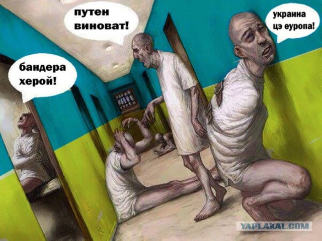 Интервью с ополченцами