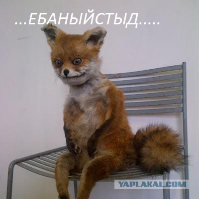 Бандеровец с деревянным автоматом пытается