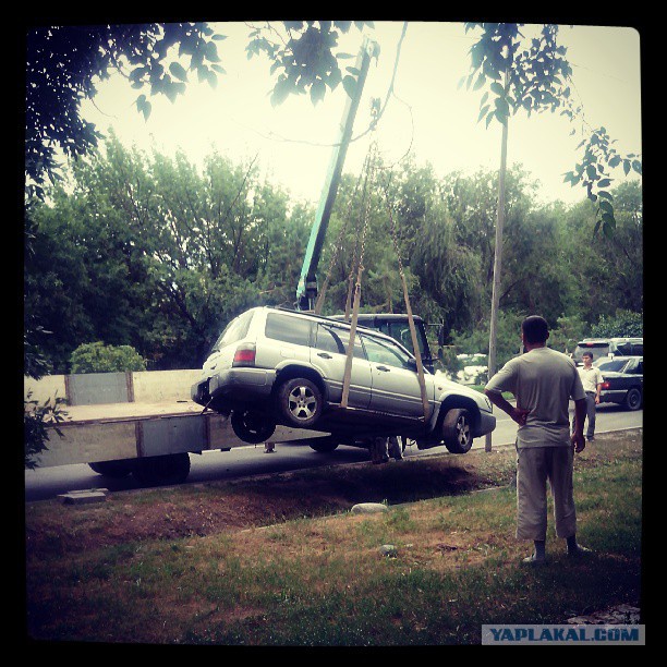 Жемчужина Казахстана! Almaty Tapok Edition