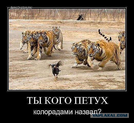 Порошенко: Россия начала войну против Украины.