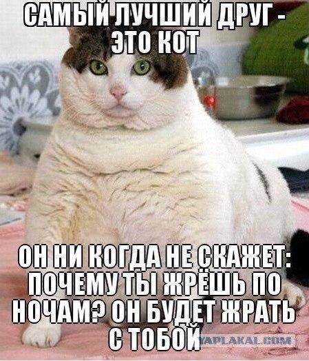 Картинки с утра.