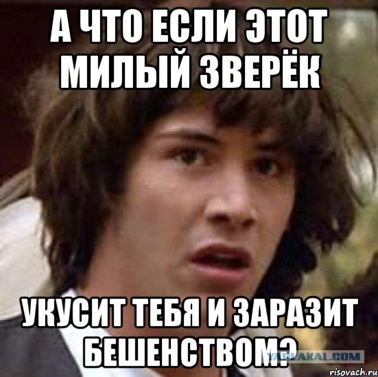 Это ведь не животное - это просто адовый адЪ!