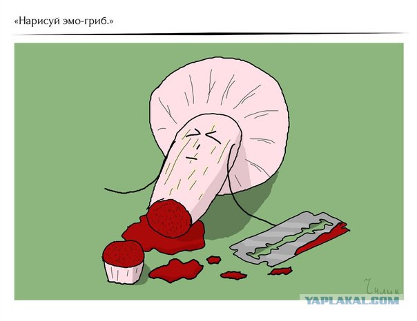 Рисунки по просьбам