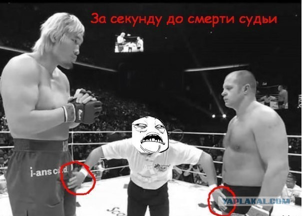 10 фотографий, сделанных "за секунду до..."