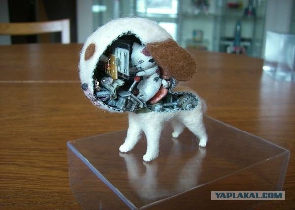 Картинки