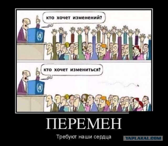 27 картинок