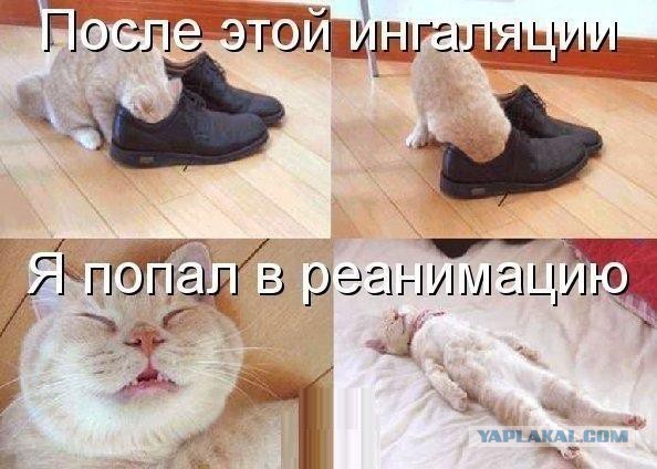 Картинки из сети к пятнице