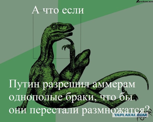 Медицинская трактовка расстройства личности "гей"