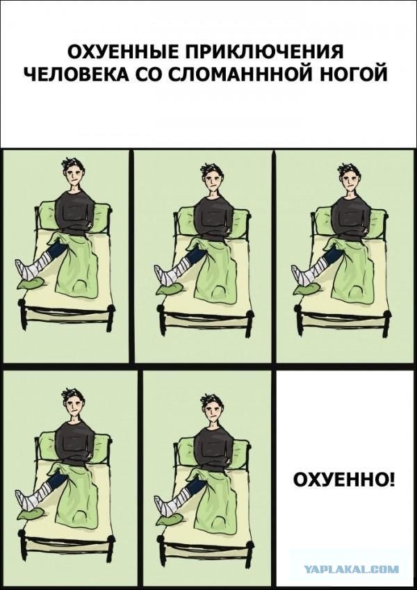 Один день из жизни парковой скамейки