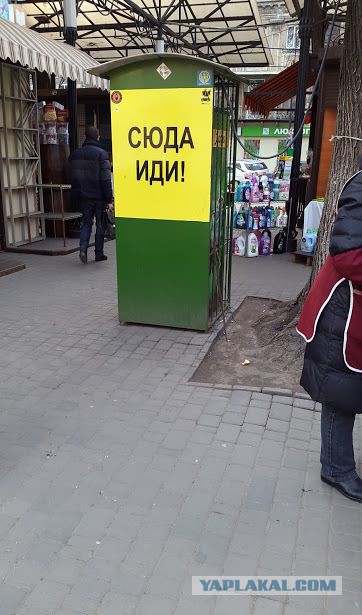 Картинки из инета