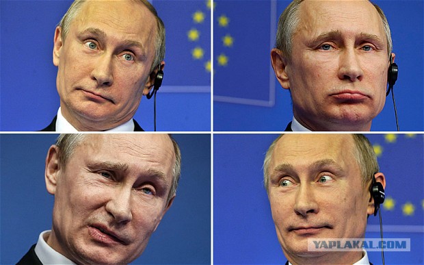 Говорят, у французов популярная картинка сейчас.