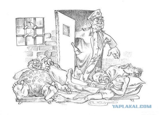 Подборка баянов.