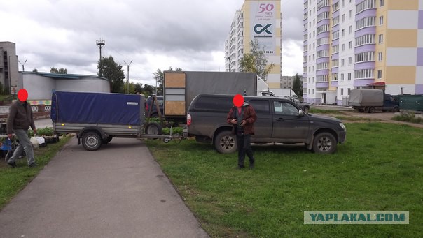 "Гнида" дрожащая или право имею