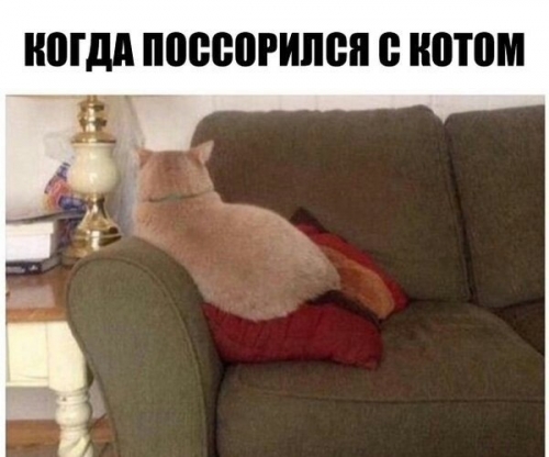 Котовторник