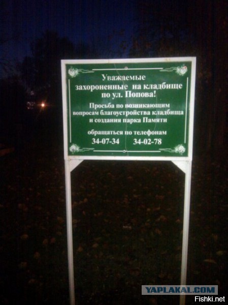 Картинки