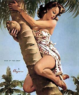 Pin-Up