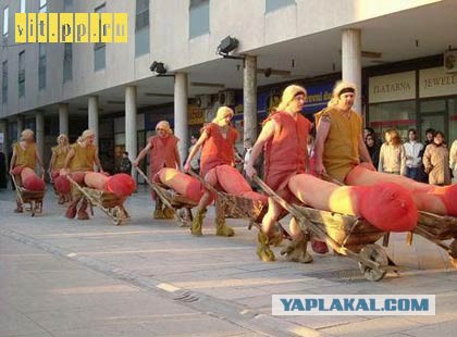 Подборка смешных и забавных фото