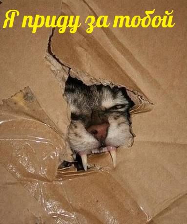 А давайте улыбнёмся