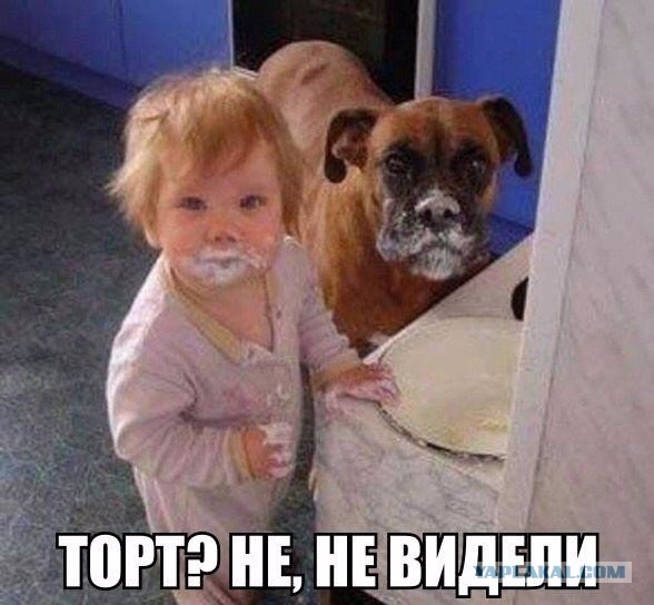 Прикольные картинки