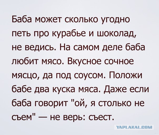 Весёлые картинки