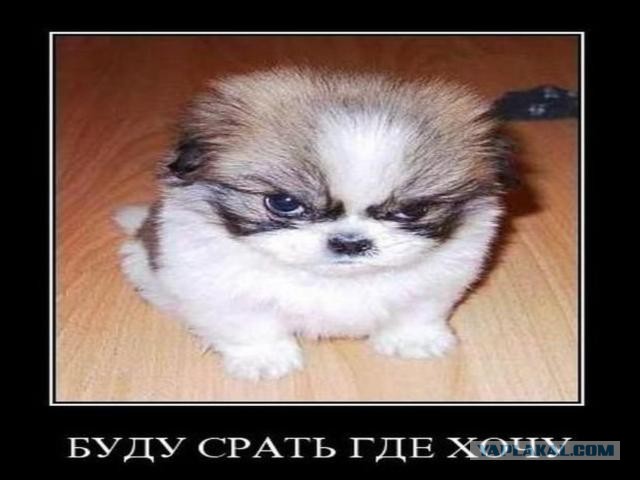 Картинки с надписями