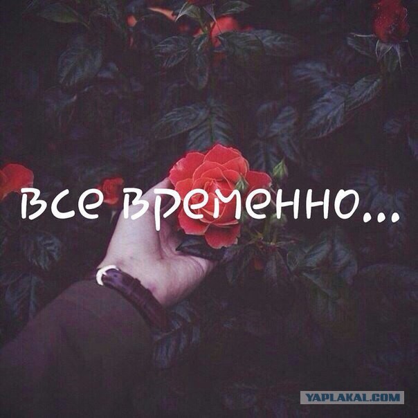 Подборка прикольных фото