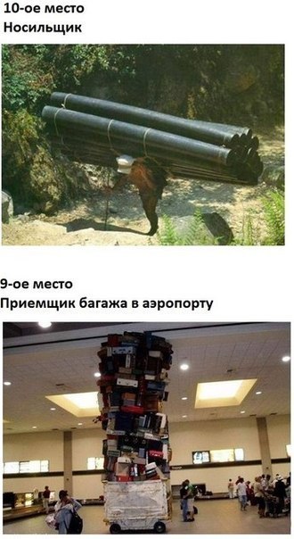 Забавные картинки из Сети