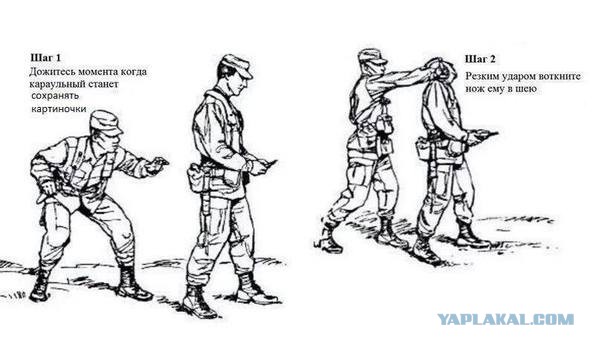 Ударная доза тупежа на начало недели