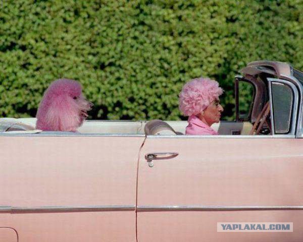 Cadillac Eldorado, немного классики