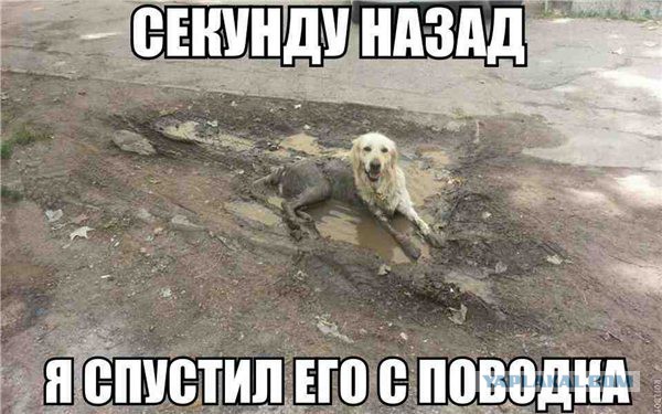 Мои личные наблюдения