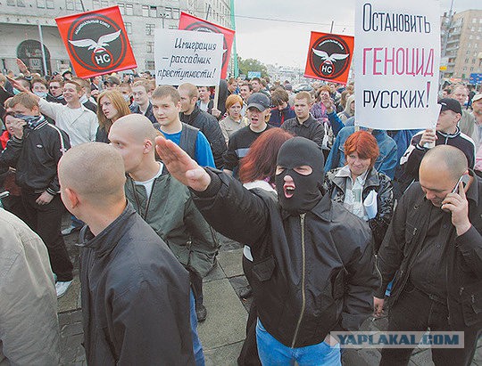 Буйный горец разбил ниву в центре москвы