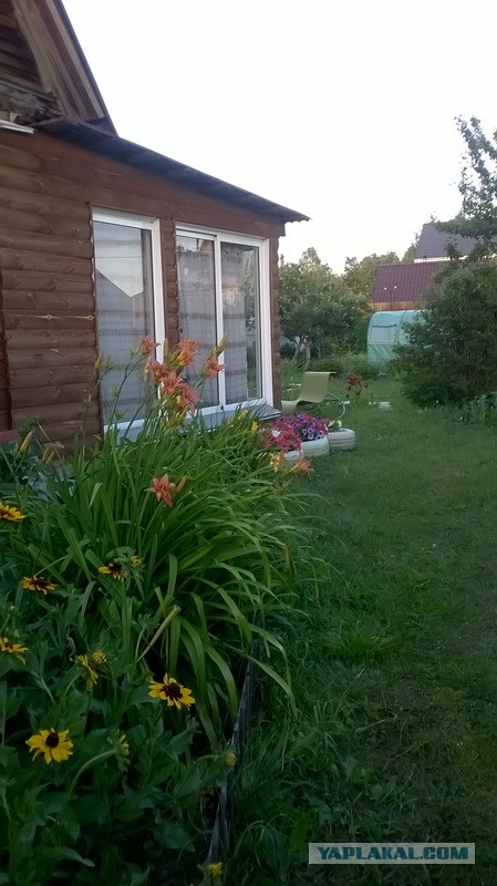 Дача, настало твое время!