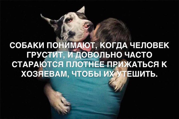 Подборка интересных и веселых картинок