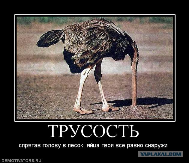 Мажор Эгоист устроил "шашки" на скорости 180 км/ч по ТТК