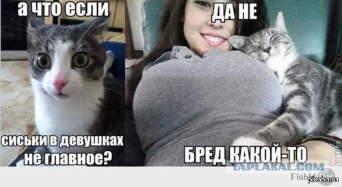 Подборка интересных и веселых картинок