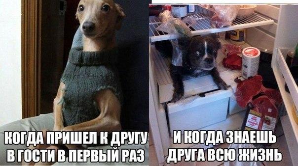 Приколюхи в стиле "Когда..."