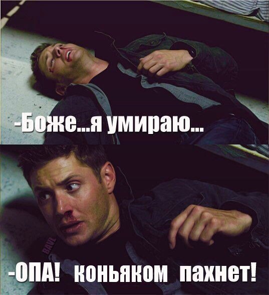 Нестандартный юмор