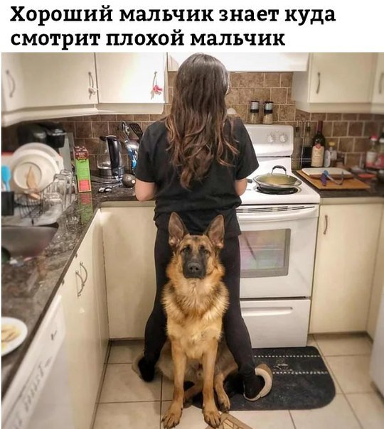 Прикольные картинки обо всём