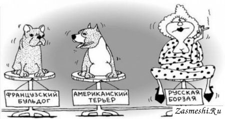 Бабы, а чё у вас в голове?