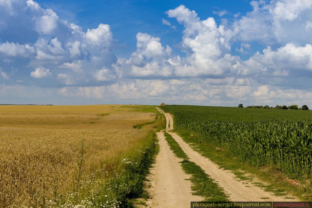 Красота сельских дорог