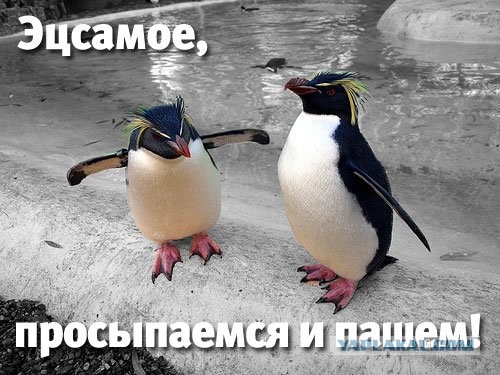 Почему я не завожу любовницу