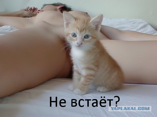 Фотожаба: А ты?