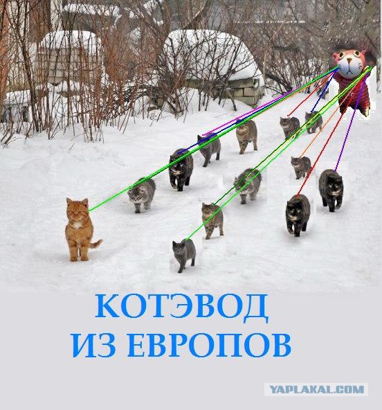 Фотожаба: Вот идет караван