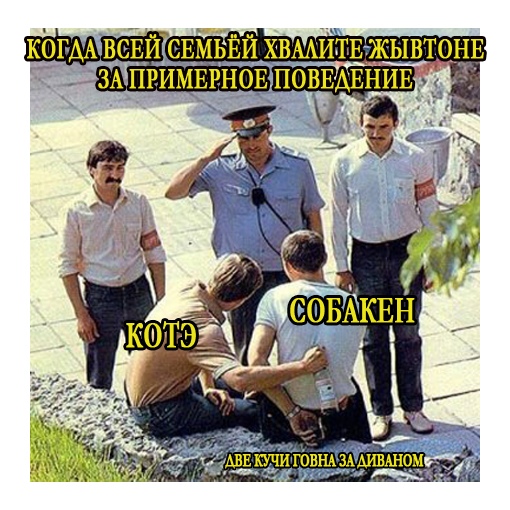 Картинки и мемы для настроения 003