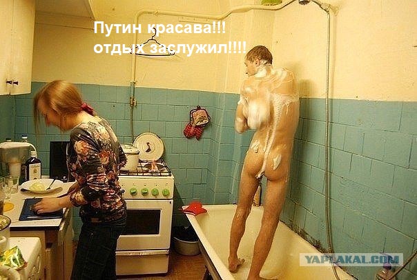 Горбатая тайга