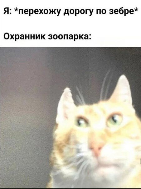 Черный юмор за 300