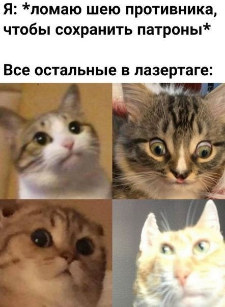 Аморальная деградация
